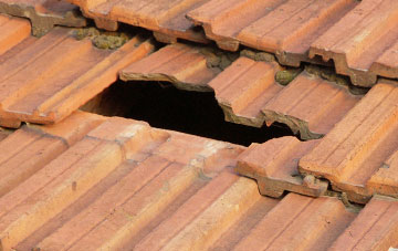 roof repair Bustards Green, Norfolk